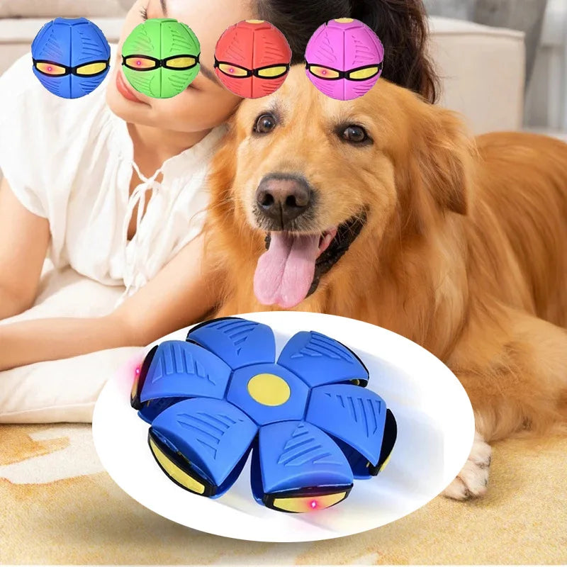 Pet Dog Toys Flying Saucer Ball Magic Deformation UFO TOYS Outdoor Sports Dog Training Equipment Dog'S Play Flying DISC