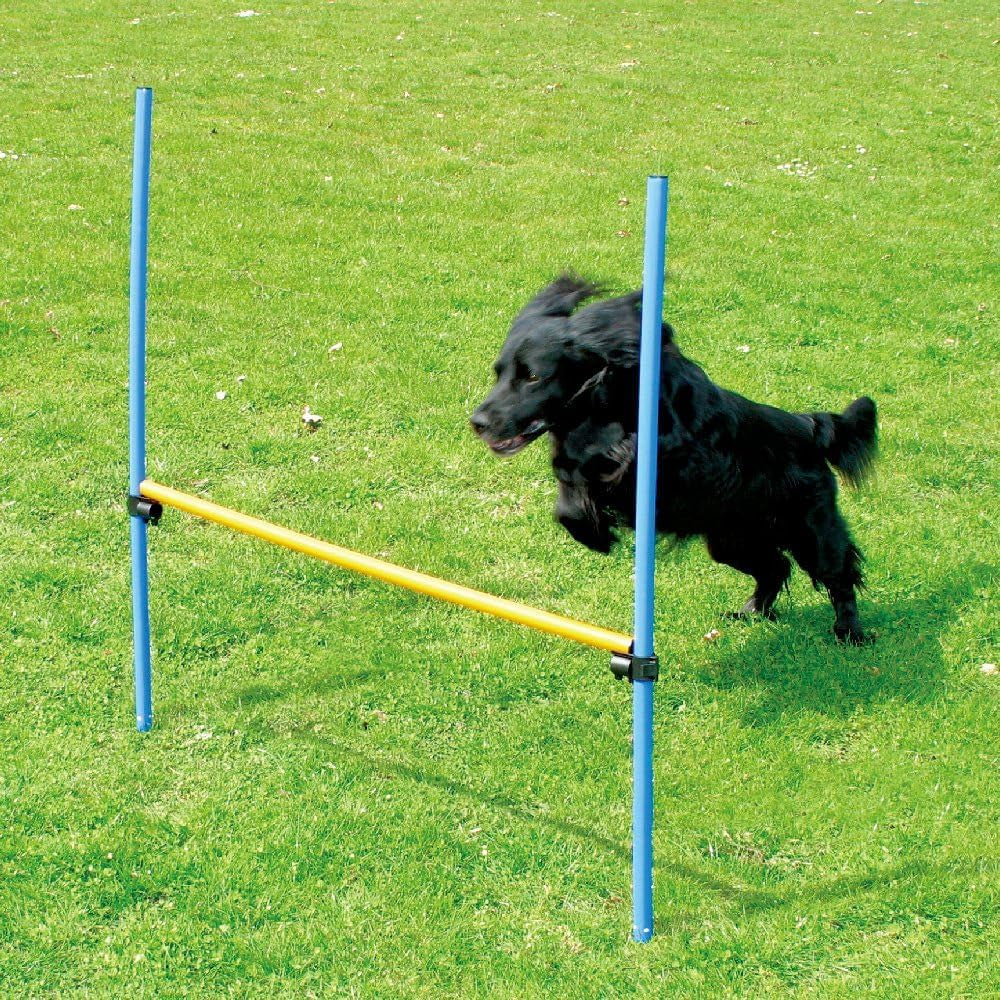 Dog Training Exercise Equipment,Dog Agility Training Equipment,Dog Jump Hurdles Training Equipment,Playground Equipment Outdoor