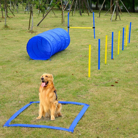 Pet Dog Agility Equipment